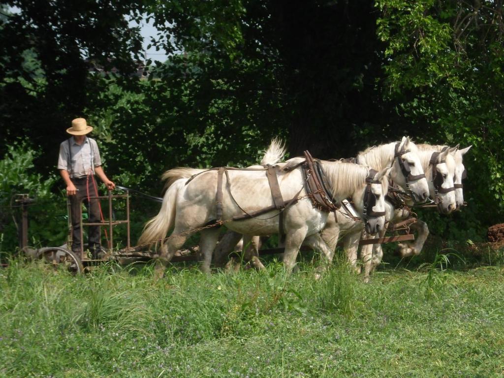 Cherry Lane Motor Amish Country 2*